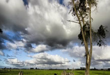 开云平台-德甲风暴夜暗藏玄机！阿根廷绝杀背后惊现神秘「制胜名单」