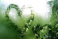 -猛龙完胜意大利男篮，米尔萨普绝境逆转引爆篮球激情的精彩之夜