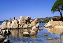 -SHR翻盘LGD，Keria拿下关键大龙2025世界赛3:1