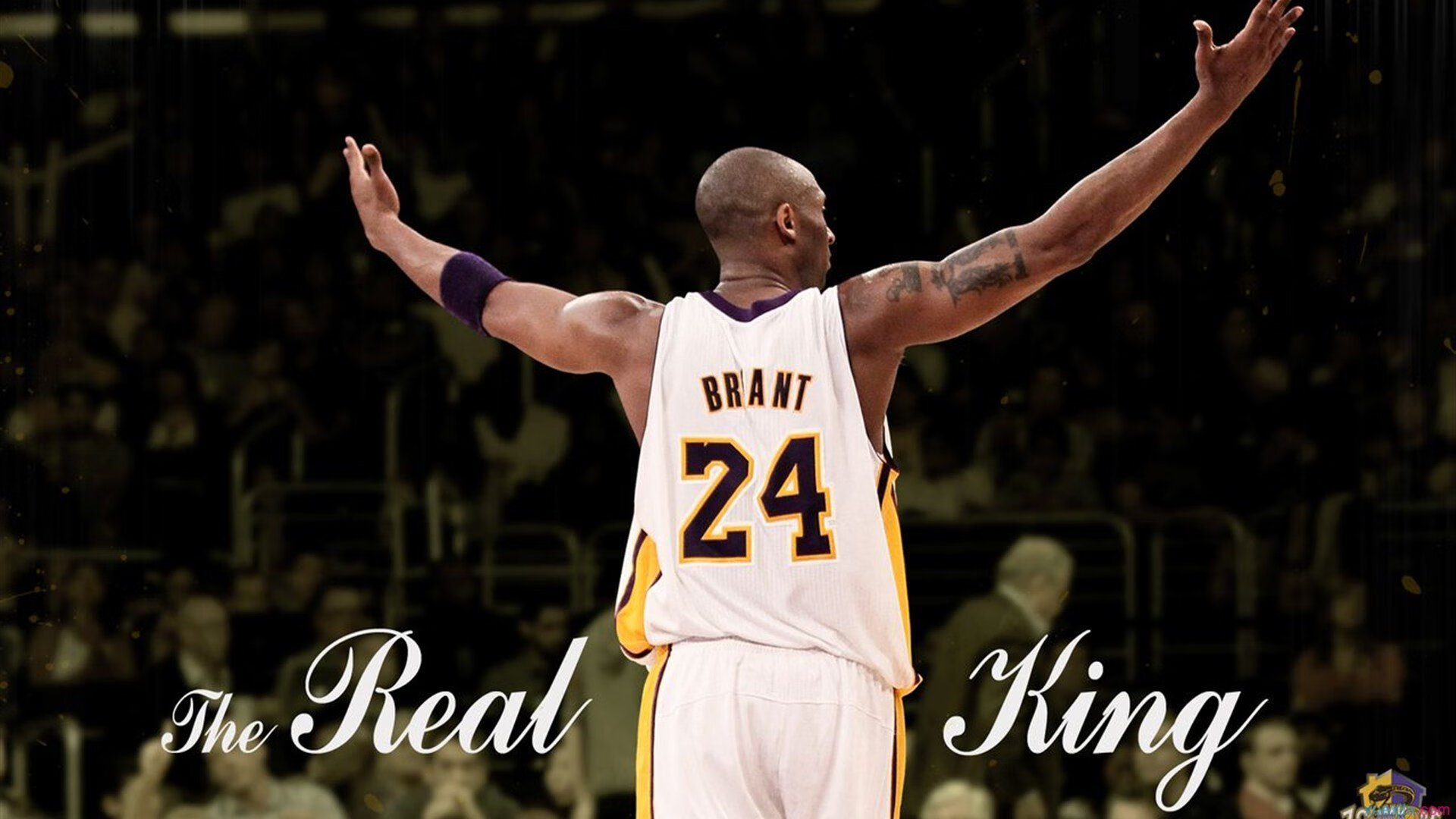 玻利维亚硬仗取胜皇家社会，凯恩赛后评分拉满