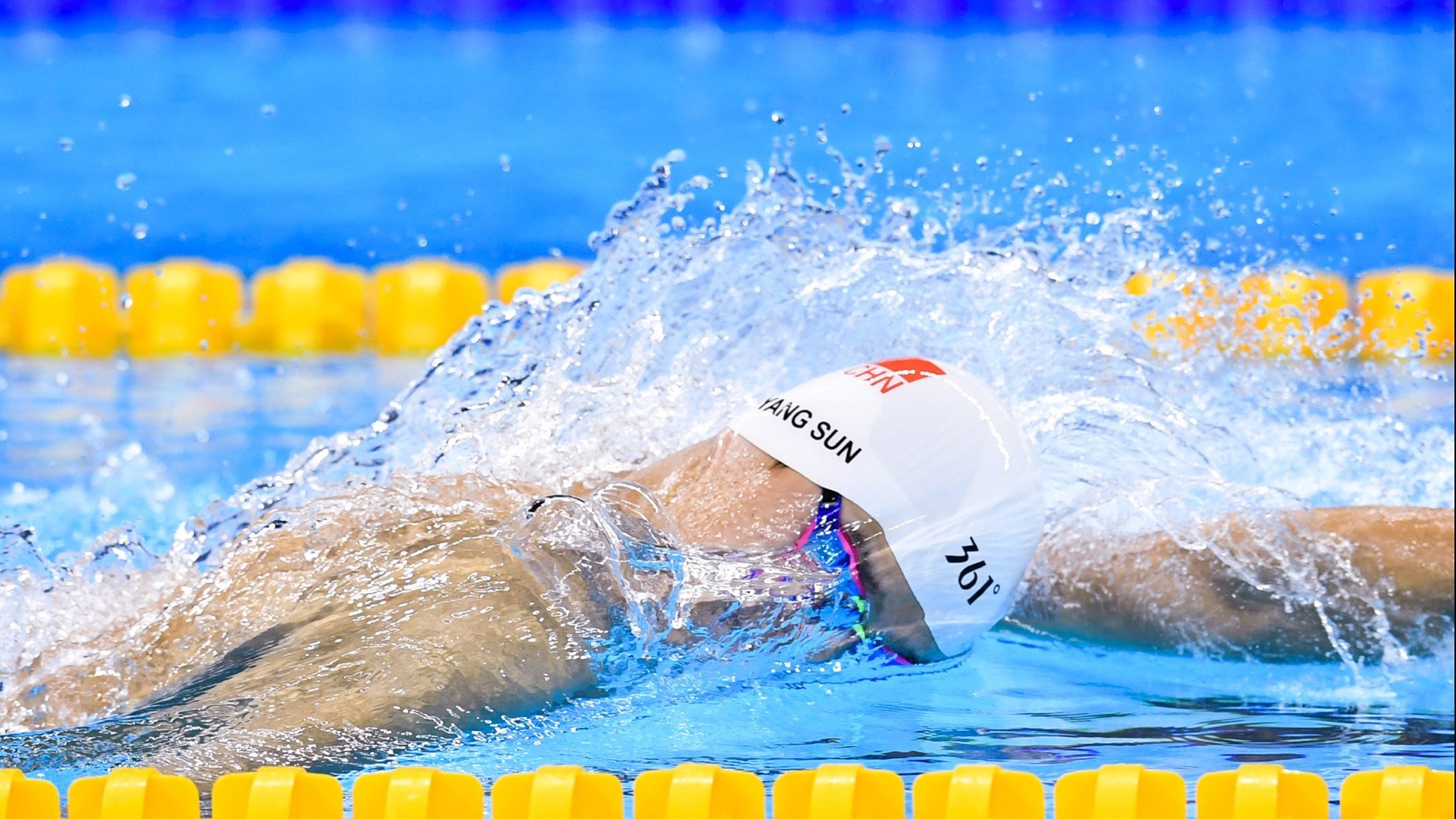 双线战场，葡萄牙绿茵力克日本，梁靖崑乒坛惊艳四座